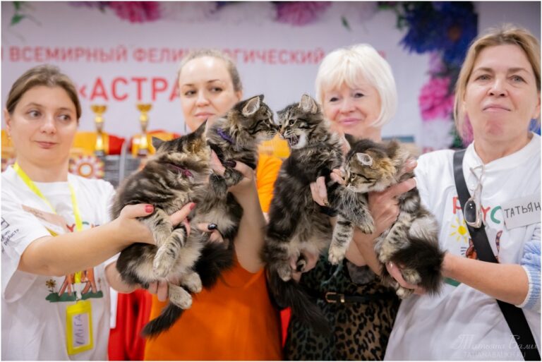 B_Crown_121024_2place (Копировать)
