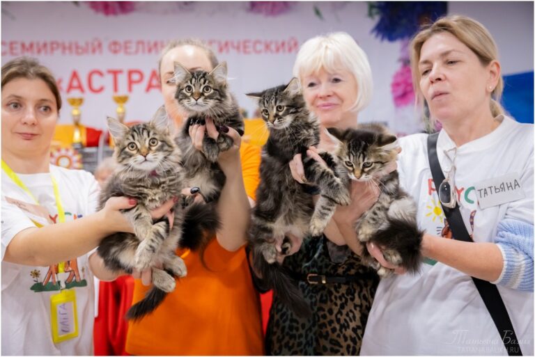 B_Crown_121024_2place_ (Копировать)