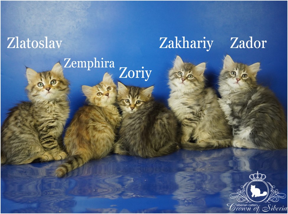 DSC05027x_name (Копировать)