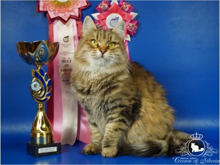 DSC02557x (Копировать)